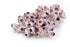 large barnacle clusters